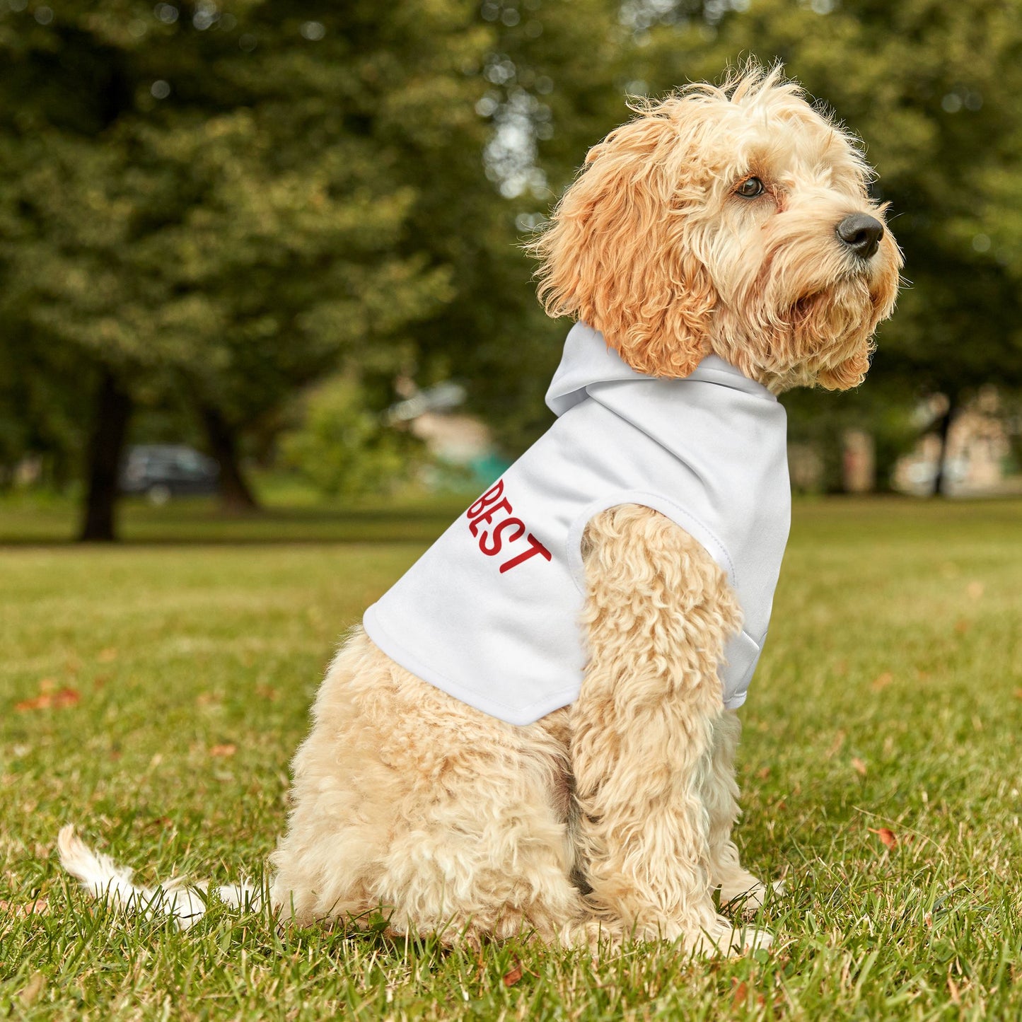 World's Best Dog Hoodie